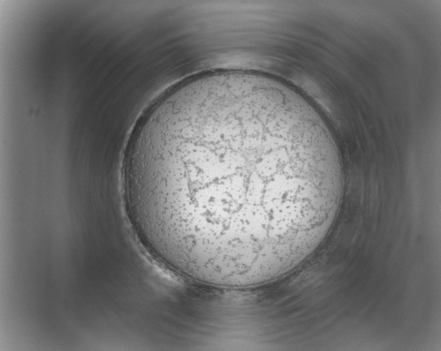 X0000070340848200606161248