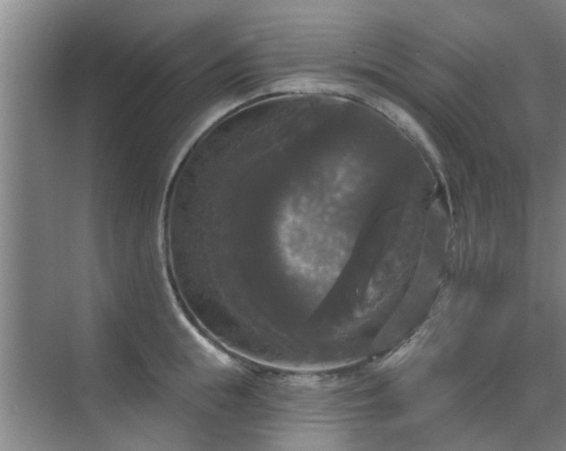 X0000070340855200606161249