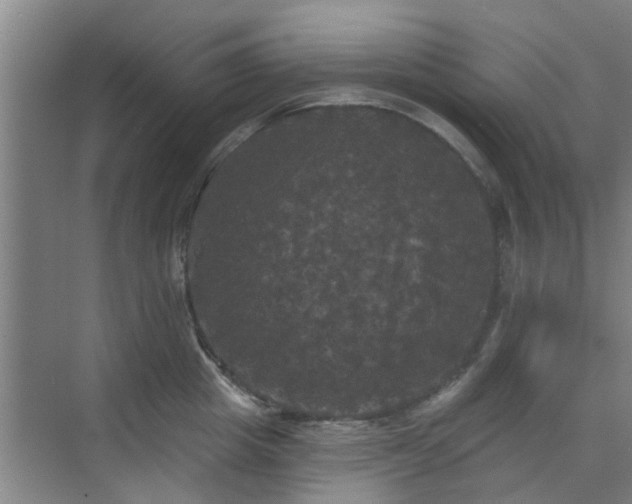 X0000070340857200606161249