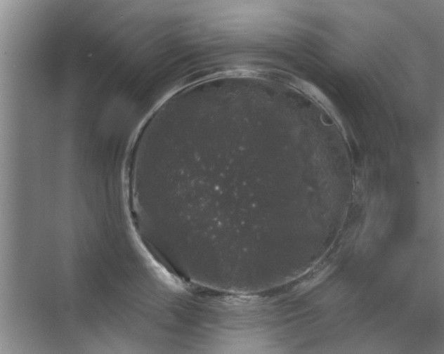 X0000070340859200606161249