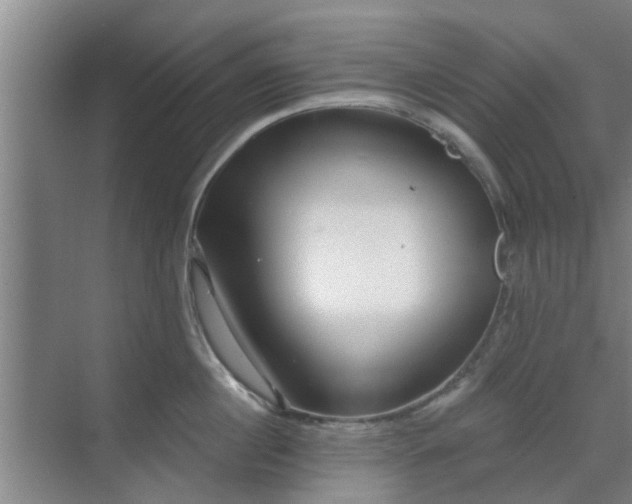 X0000070340860200606161249