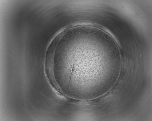 X0000070340861200606161249