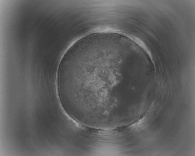 X0000070340863200606161249