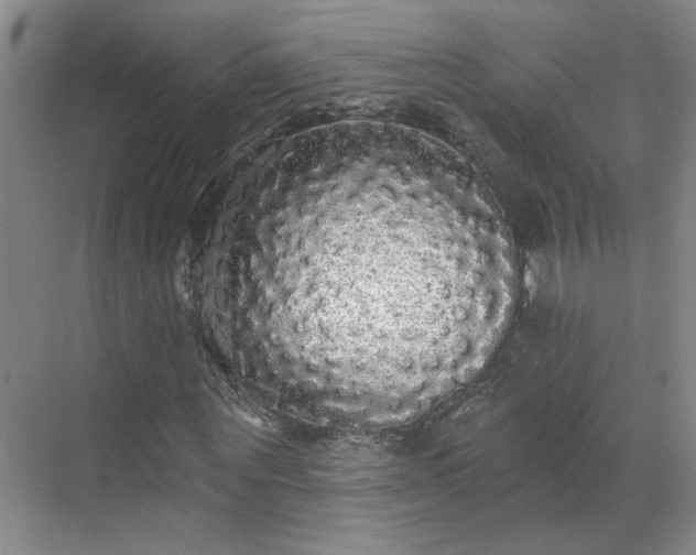 X0000070340867200606161248