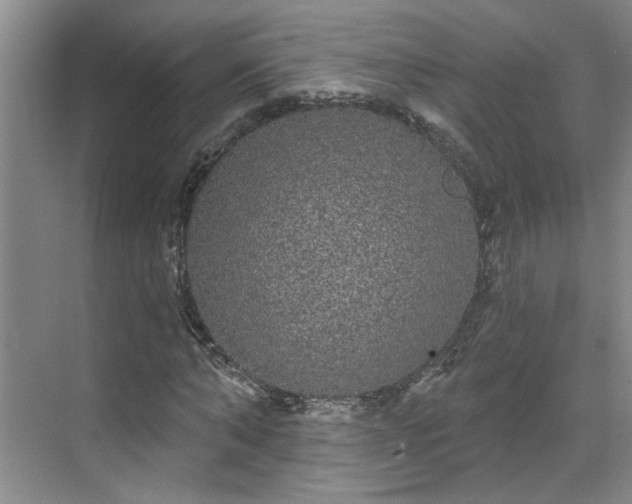 X0000070340870200606161248