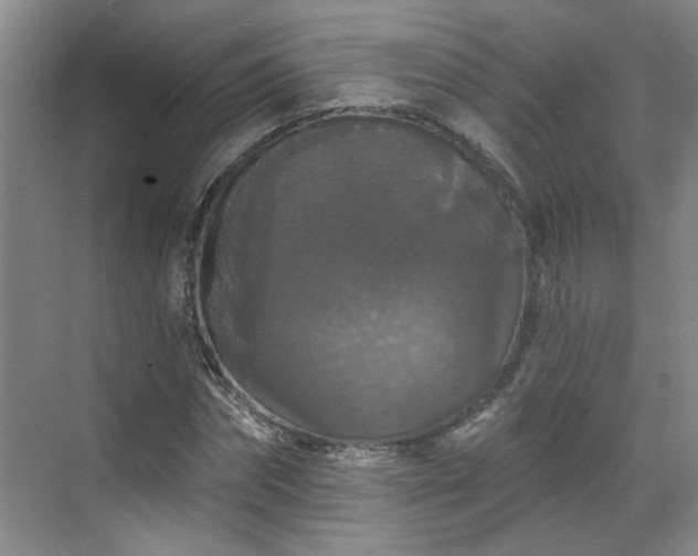 X0000070340874200606161248