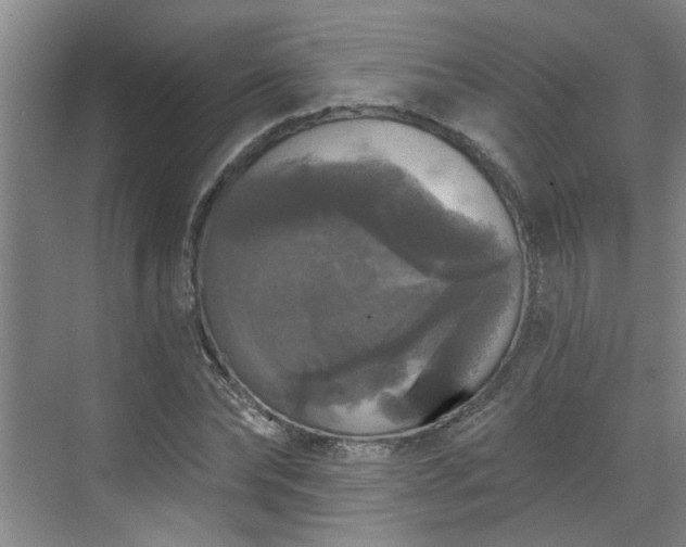 X0000070340878200606161248