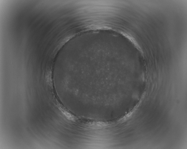 X0000070340881200606161248