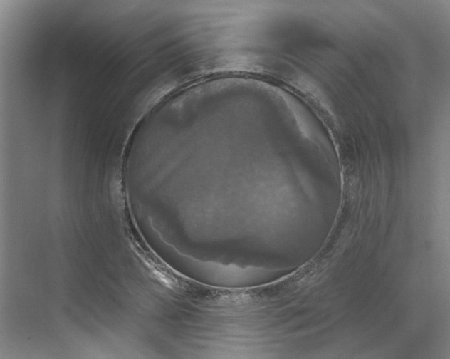 X0000070340882200606161248