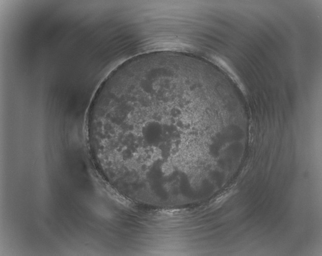 X0000070340883200606161248