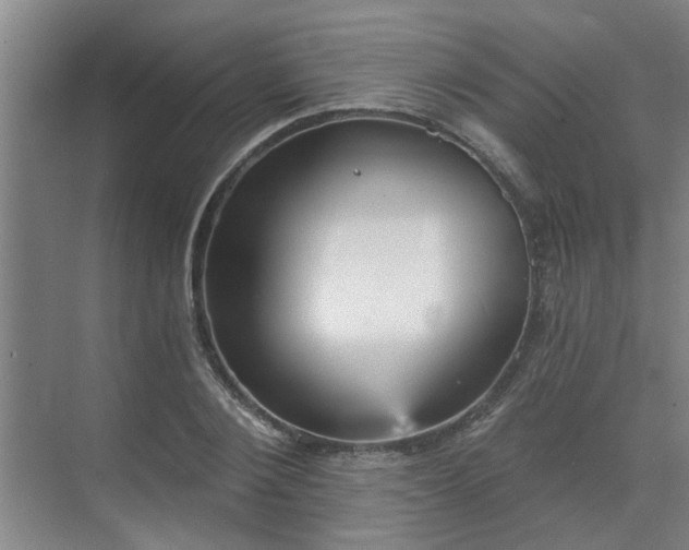 X0000070340884200606161248