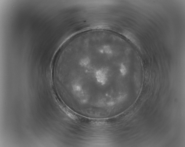 X0000070340886200606161248