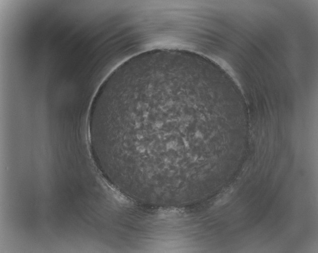 X0000070340887200606161248