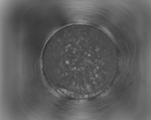 X0000070340891200606161247