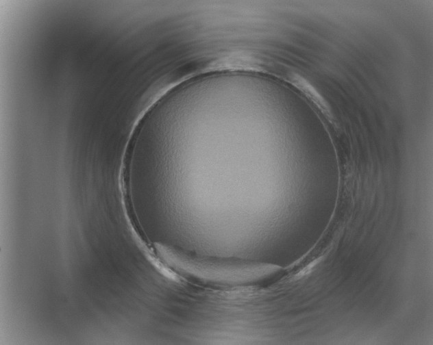 X0000070340893200606161247