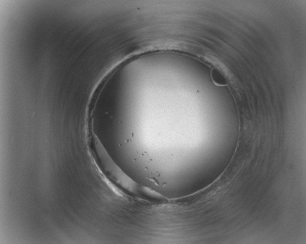 X0000070340894200606161247