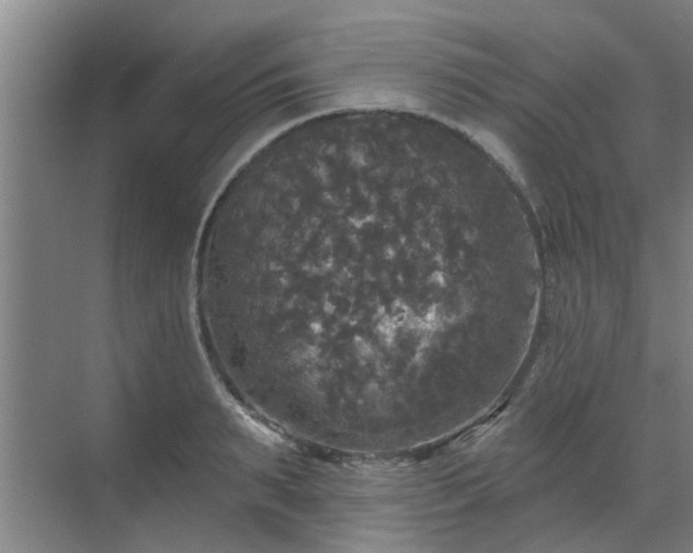 X0000070340895200606161247