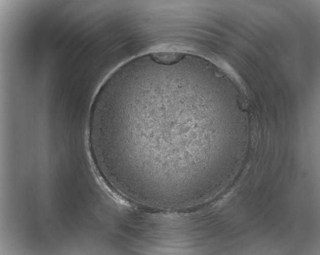 X0000070340896200606161247