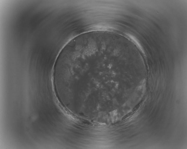 X0000070340899200606161247