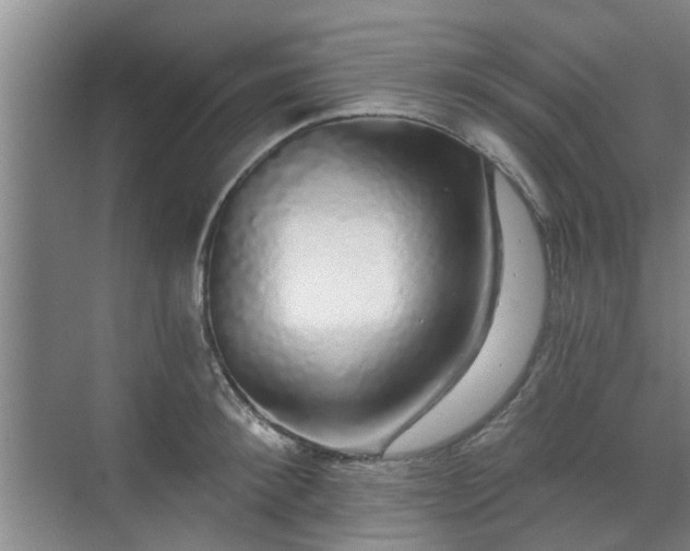 X0000070340900200606161247