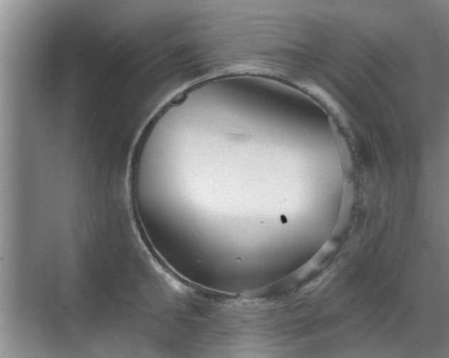 X0000070340902200606161247