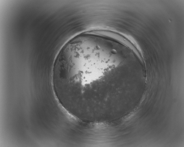 X0000070340903200606161247