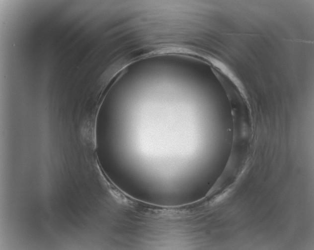 X0000070340905200606161247