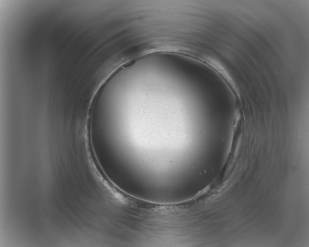 X0000070340906200606161247