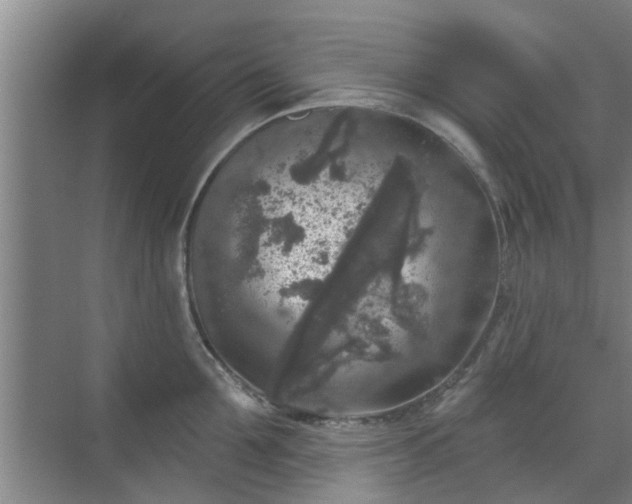 X0000070340907200606161247