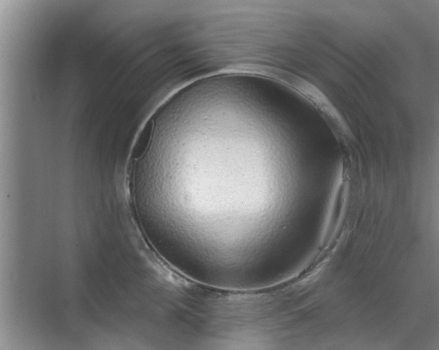 X0000070340908200606161247