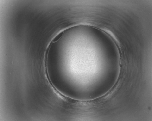 X0000070340910200606161247