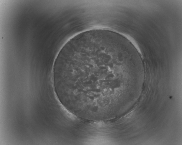 X0000070340911200606161247