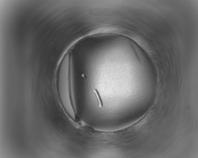 X0000070340912200606161247