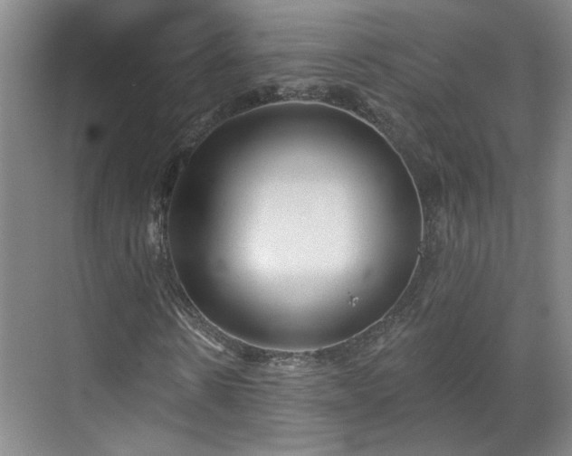 X0000070340914200606161246