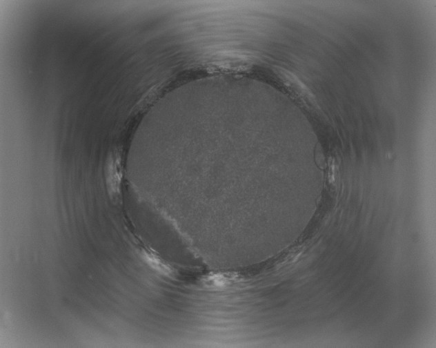 X0000070340915200606161246