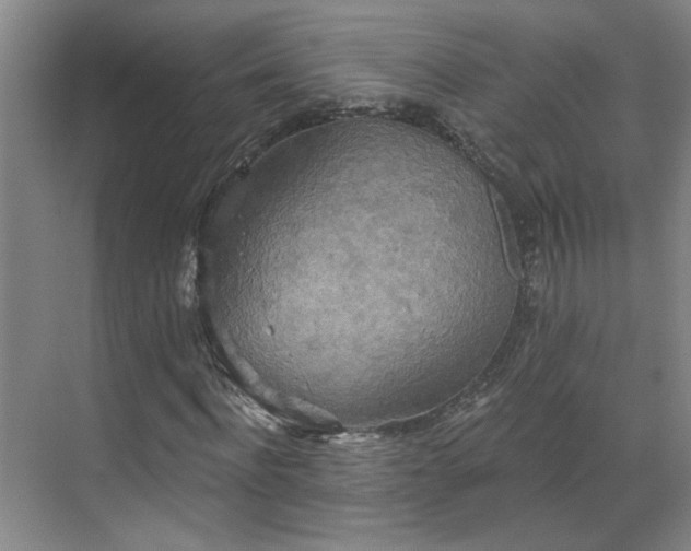 X0000070340916200606161246