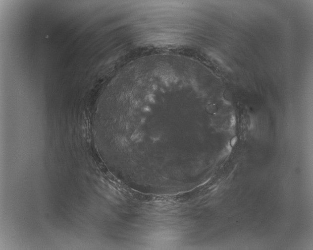 X0000070340917200606161246