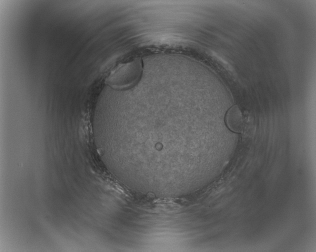 X0000070340918200606161246