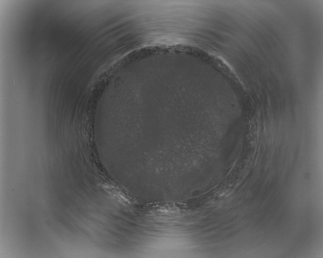 X0000070340919200606161246