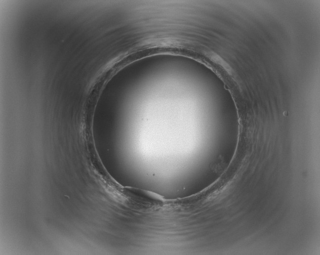 X0000070340922200606161246