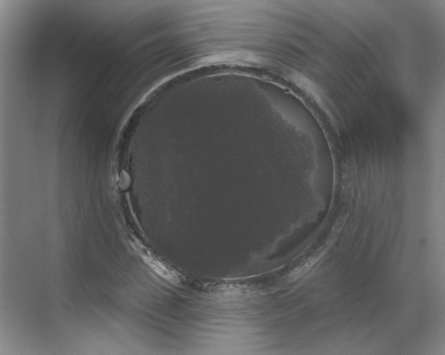 X0000070340923200606161246