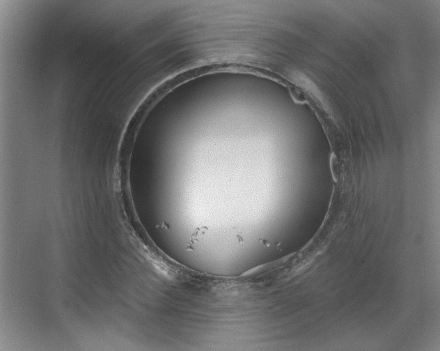 X0000070340924200606161247