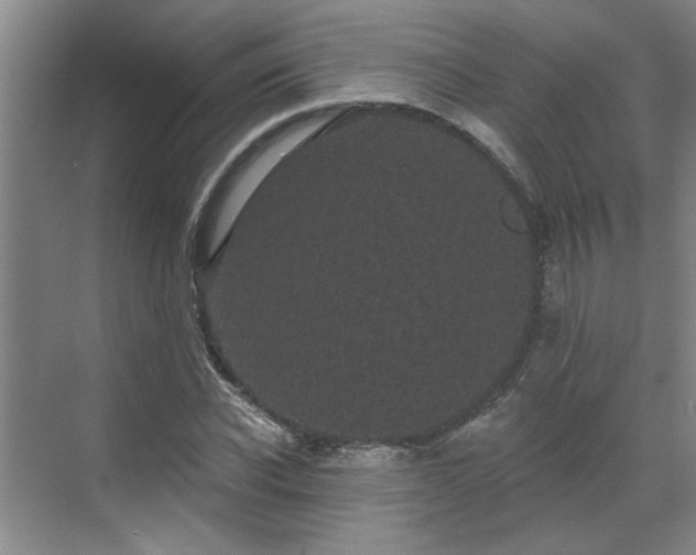 X0000070340926200606161247