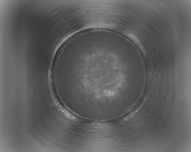 X0000070340928200606161247