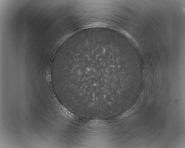 X0000070340929200606161247