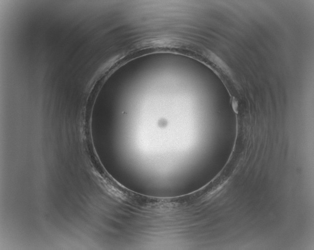 X0000070340930200606161247