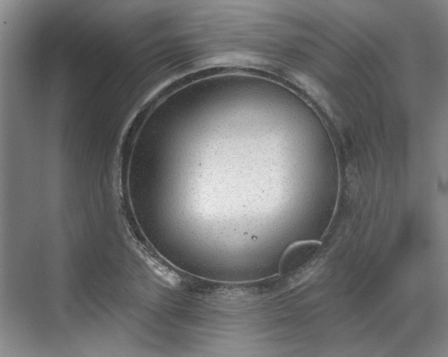 X0000070340931200606161247