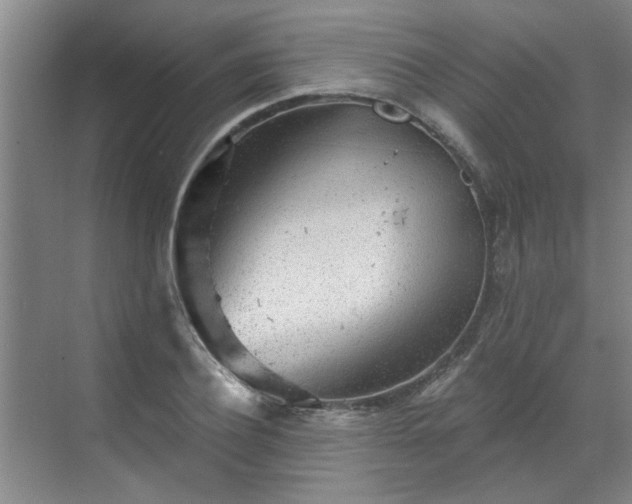 X0000070340932200606161247