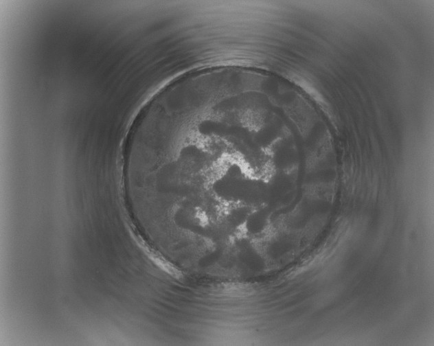 X0000070340933200606161247