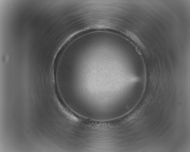 X0000070340934200606161247